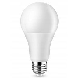 Eco Light LED žárovka - E27 - A80 - 20W - 1800Lm - studená bílá