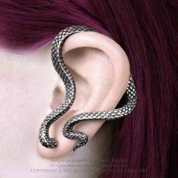 náušnice ALCHEMY GOTHIC - Serpentine Ear Wrap - E448