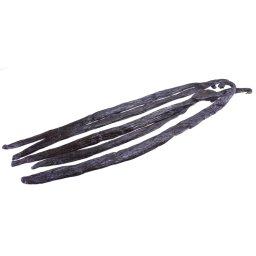Profikoření - Vanilka lusk Planifolie Madagaskar Bourbon XXL 20-23 cm (1 Ks)