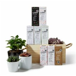 WEIKI probiotika 100 ml Weiki