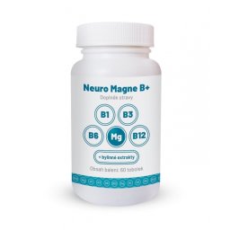 Neuro Magne B+ | Pro podporu nervové soustavy