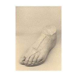 Paper Collective designové moderní obrazy The Foot (70 x 100 cm)