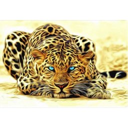 Gaira® Malování podle čísel Gepard M9930