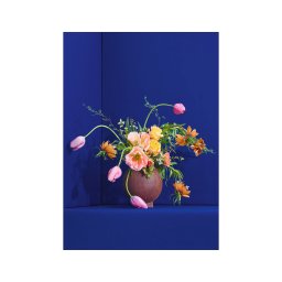 Paper Collective designové moderní obrazy Blomst 01 - Blue (50 x 70 cm)