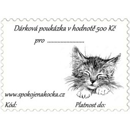 Dárková poukázka v hodnotě 300 Kč - kotě