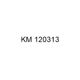 KM120313