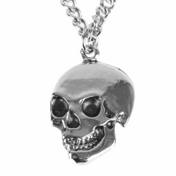 obojek Skull - PSY933