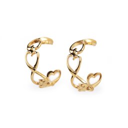 Náušnice z nerezové oceli kruhy, barva 4 zlatá srdce