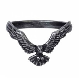 prsten ALCHEMY GOTHIC - Ravenette - R232