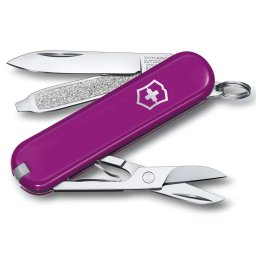 VICTORINOX nůž kapesní CLASSIC SD 58mm TASTY GRAPE