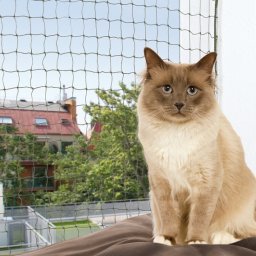 Ochranná síť pro kočky tkaný drát 8x3 m