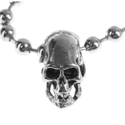 obojek Skull - PSY788