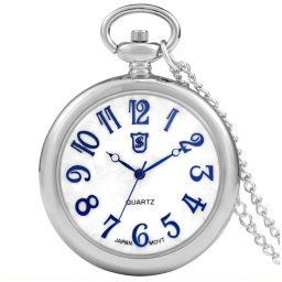 Gaira® Kapesní hodinky 34625, Barva stříbrná