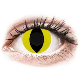 CRAZY LENS - Cat Eye Yellow - nedioptrické jednodenní (2 čočky)