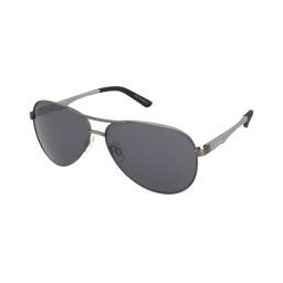 Sluneční brýle Alpina A 107 Titanium Matt/Black Mirror