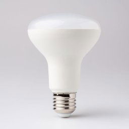 Eco Light R80 E27 12W 6500K 1080lm
