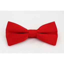 Pánský červený motýlek