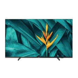 55" PHILIPS 55HFL5214
