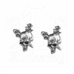 náušnice Metallica - Damage - ALCHEMY GOTHIC - PE2