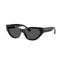 Sluneční brýle Jimmy Choo JC5022B 500087