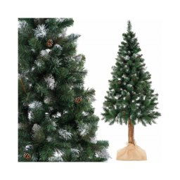 SPRINGOS Vánoční stromek Borovice diamantová na kmínku 220 cm CT0075-XG