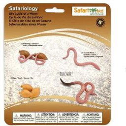 Safari Ltd. Životní cyklus - Žížala