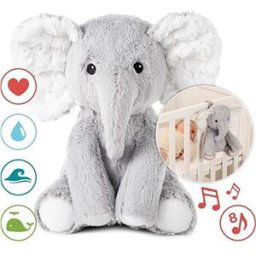 Cloud b Eli The Elephant Sloník