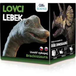 Albi Lovci Lebek Brachiosaurus