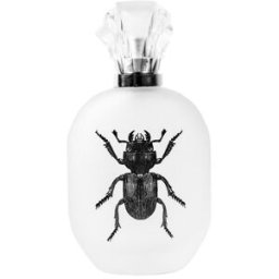 CAPTAIN FAWCETT Alessandro Manfredini EdP 50 ml
