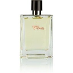 HERMÉS Terre d'Hermés EdT 100 ml