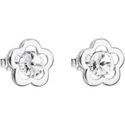 EVOLUTION GROUP 31254.1 crystal (AG 925/1000, 1,7 g)