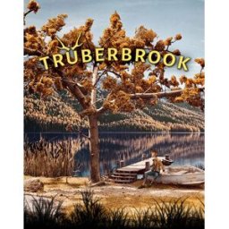 Plug in Digital Truberbrook (PC) Steam DIGITAL