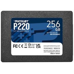 Patriot P220 256GB