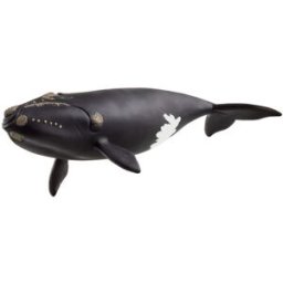 Schleich Velryba severoatlantická 14878