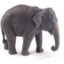 Mojo Fun Mojo - Slon Indický