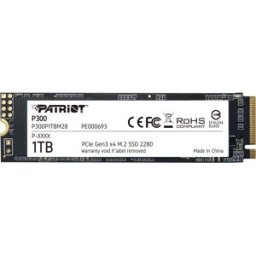 Patriot P300 1TB
