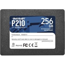 Patriot P210 256GB