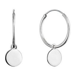 EVOLUTION GROUP 61058 ag náušnice (AG 925/1000; 2 g)