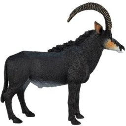 Mojo Fun Mojo - Antilopa vraná