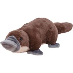 Wild Republic Ptakopysk