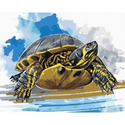 zuty Vodní želva, 80×100 cm, bez rámu a bez vypnutí plátna