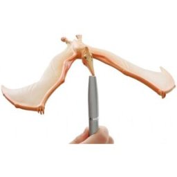 Brainstorm Toys Úžasný balancující Pteranodon