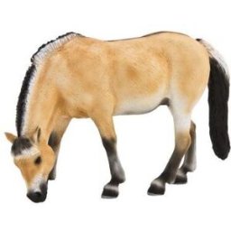 Mojo Fun Mojo - Fjordský kůň