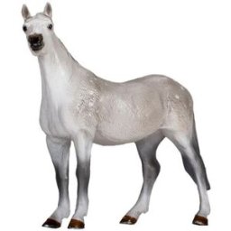 Mojo Fun Mojo - Orlovský klusák