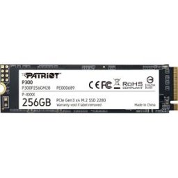 Patriot P300 256GB