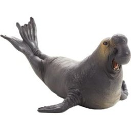 Mojo Fun Rypouš sloní