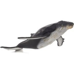 Mojo Fun Keporkak Deluxe