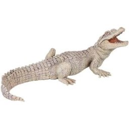 Papo Bílý krokodýl mládě