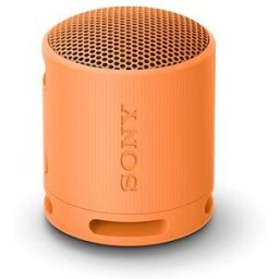 Sony SRS-XB100 oranžová
