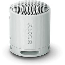 Sony SRS-XB100 šedá
